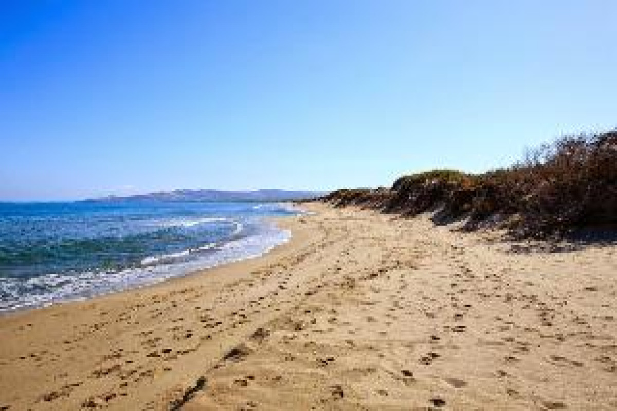 CLUB DEL GOLFO