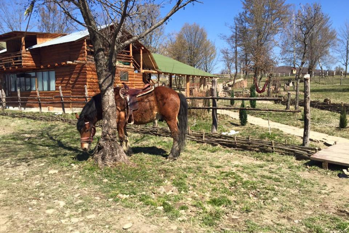 Ferma Stana Dacilor