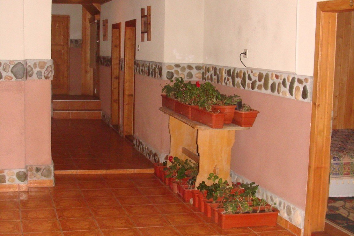 Pensiunea Irina 1