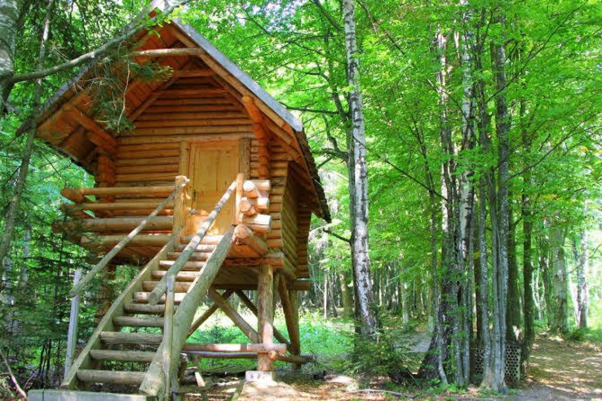 DOBRICA HUNTING LODGE