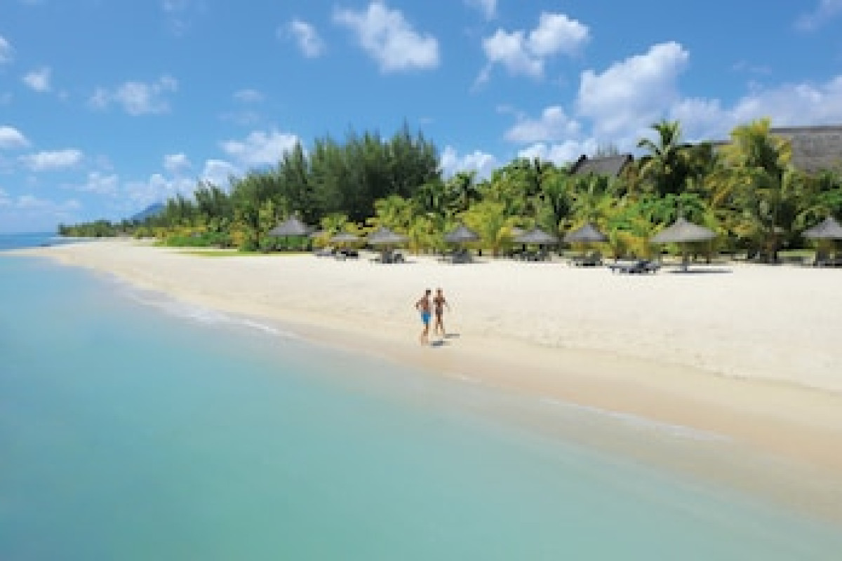 DINAROBIN BEACHCOMBER