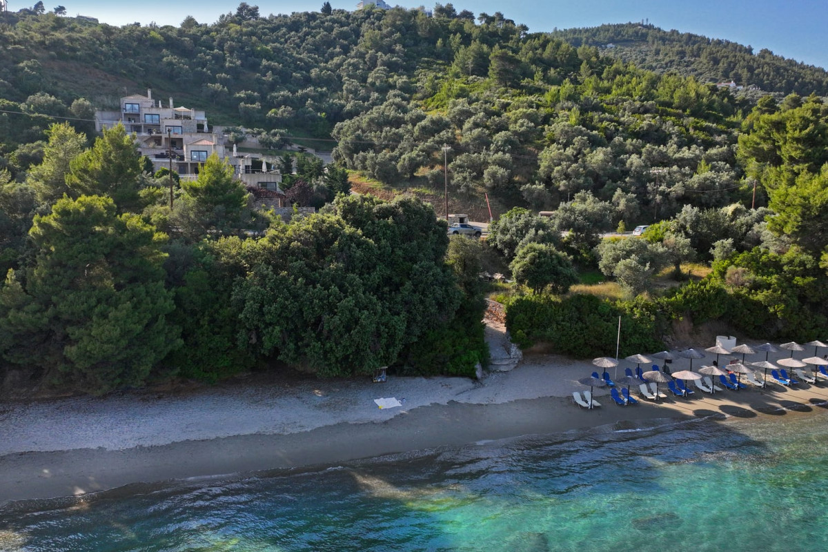 Golden King Villas Skiathos