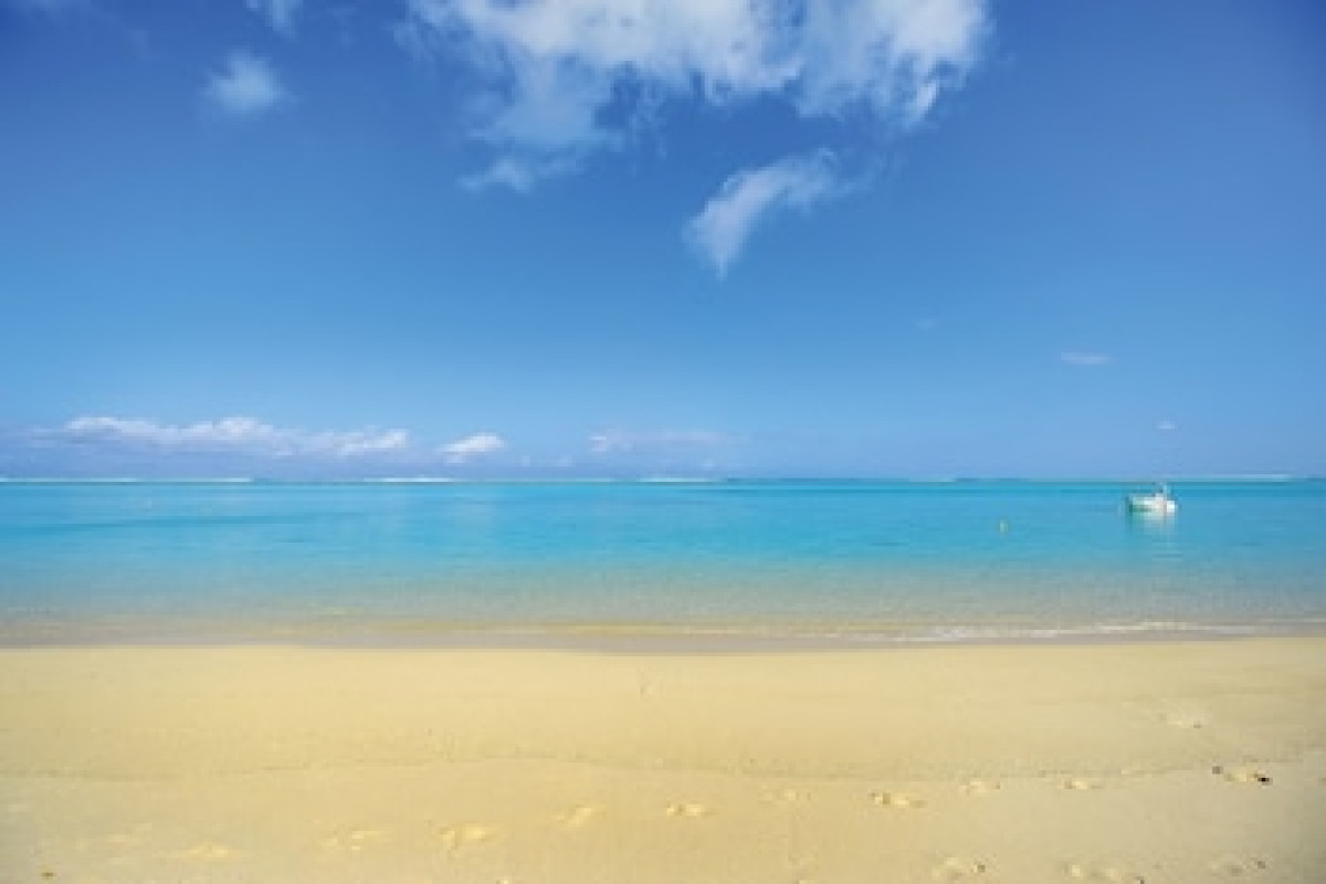 PARADIS BEACHCOMBER