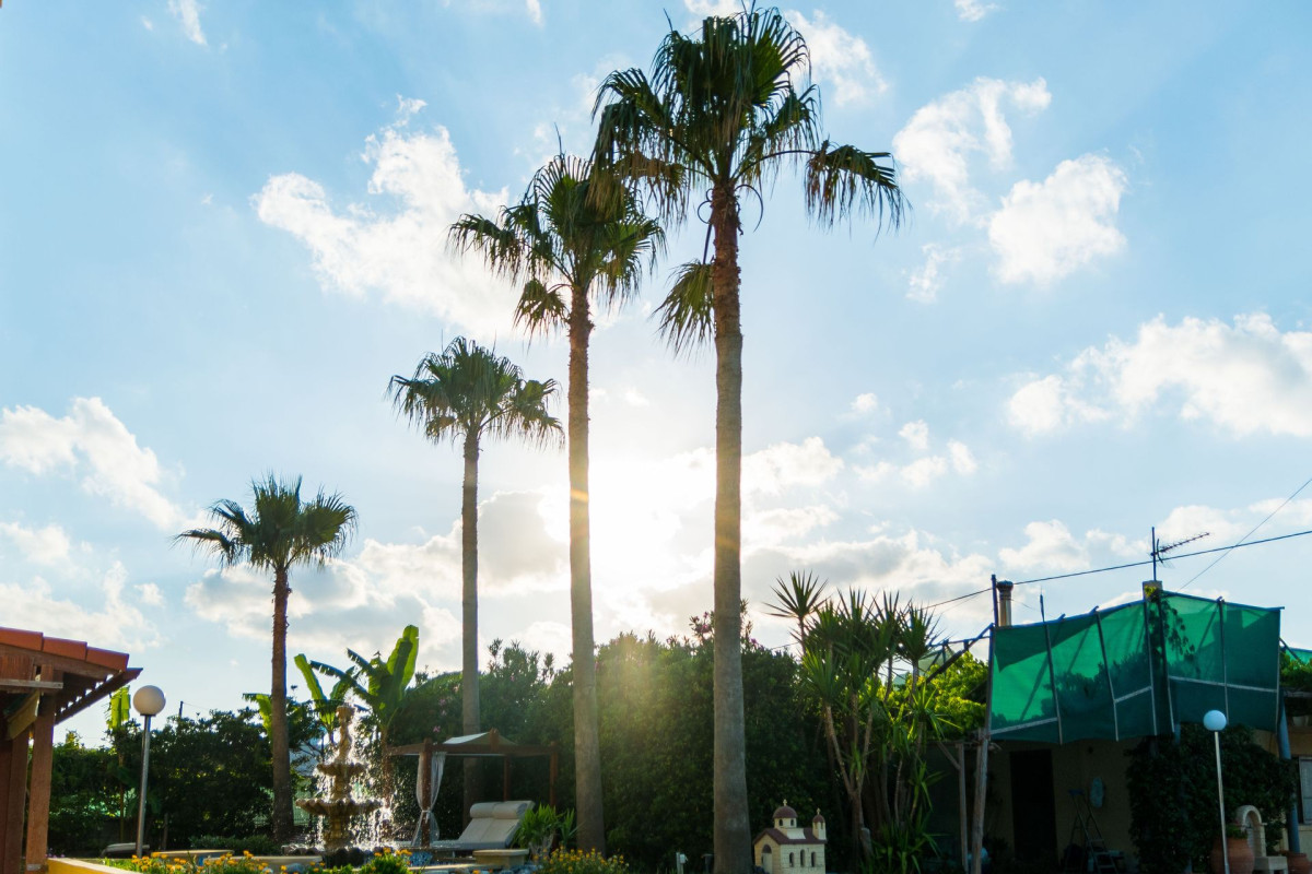 Thalassa Apartments Chania