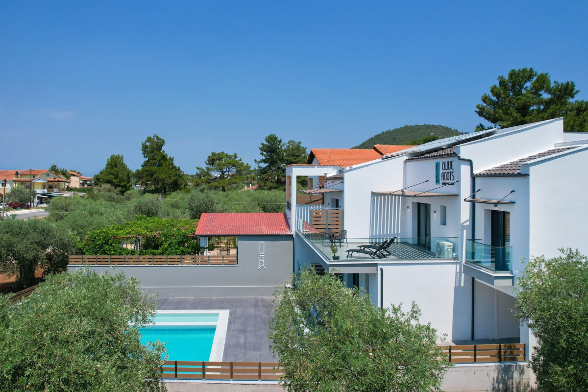 Olive Roots Thassos