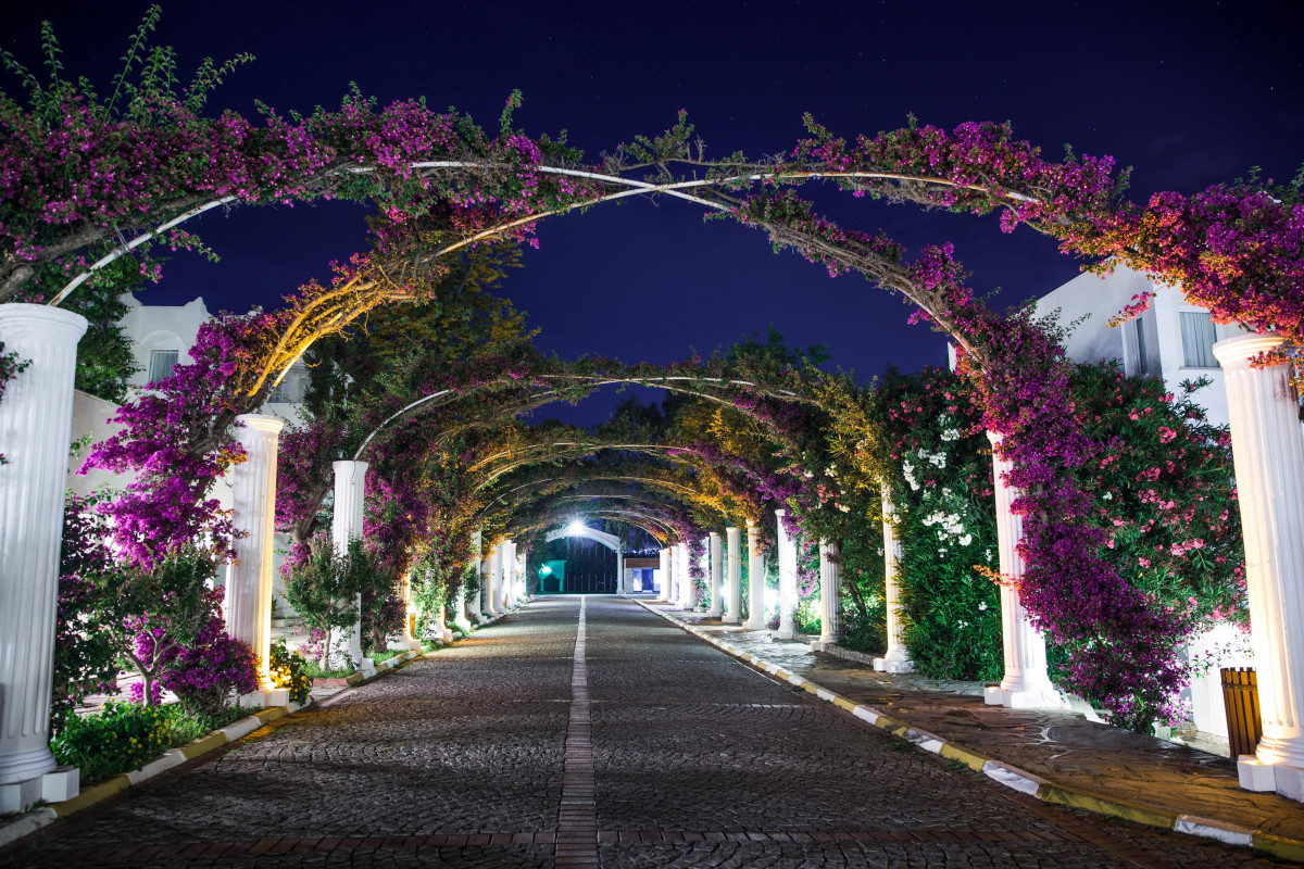 Kadikale Resort
