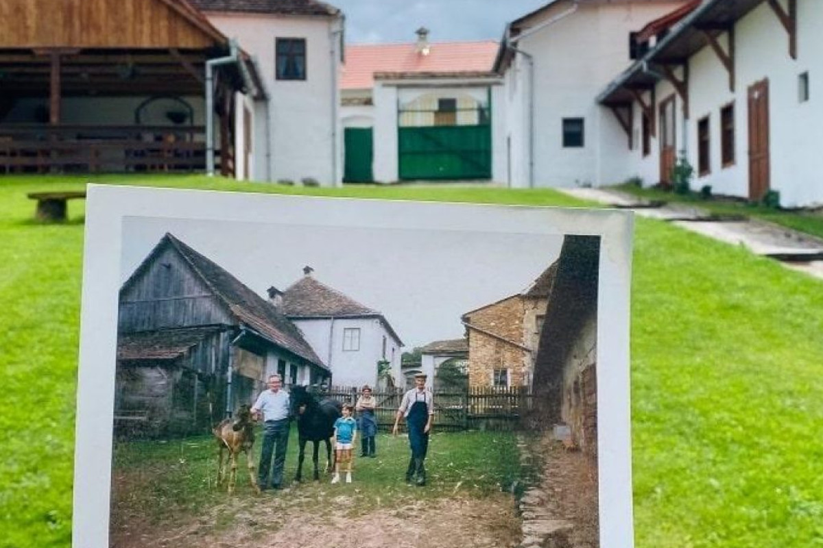 VESEUD 11