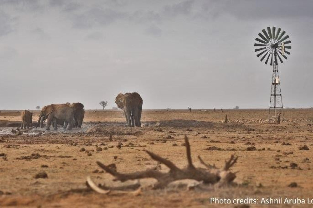 Prideinn Flamingo Beach Resort and Safari Tsavo Explorer RO