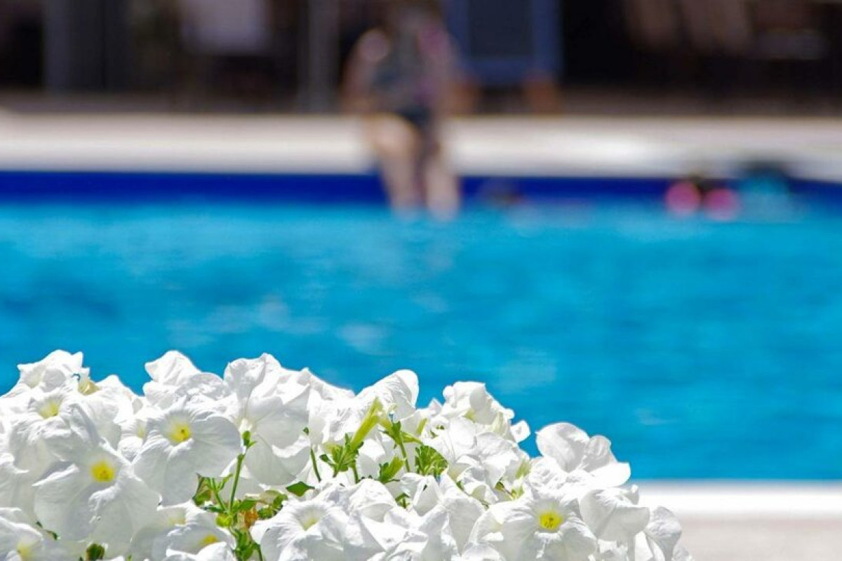 Sun Beach Platamonas