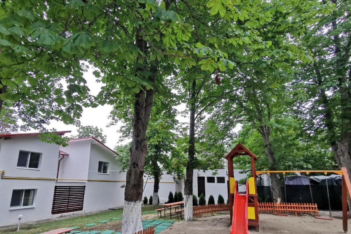 Apartamente Liliacul