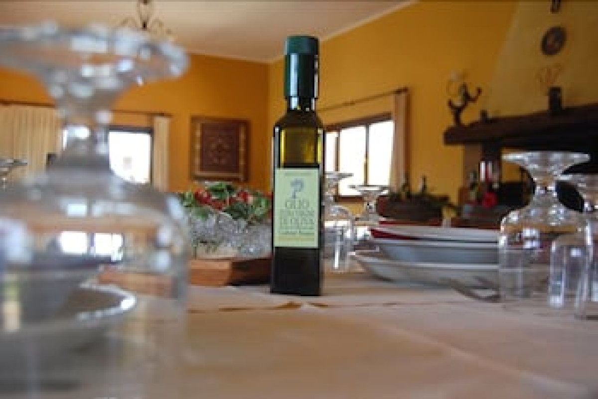 AGRITURISMO I VIGNETI