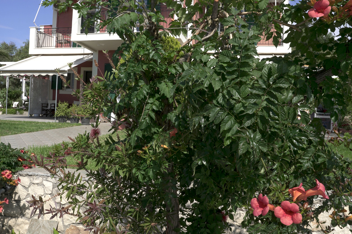 ASPASIA STUDIOS