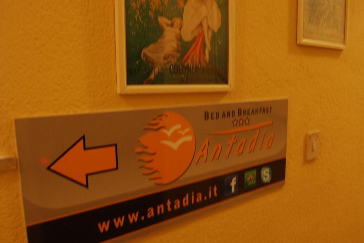 Antadia Bamp;B