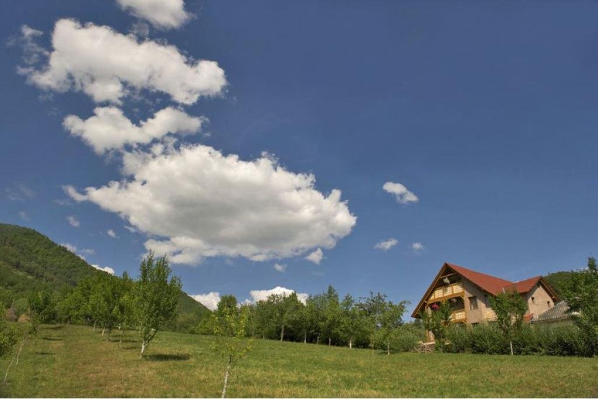 Pensiunea Valea Branzei (Barsana)