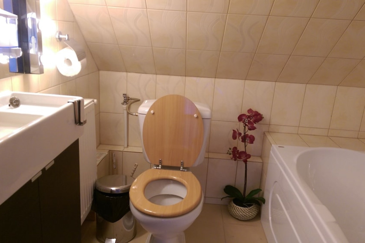 CONACUL BUNICILOR