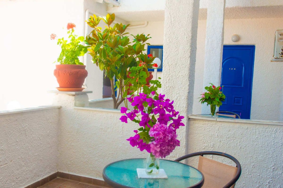 Elena Hotel