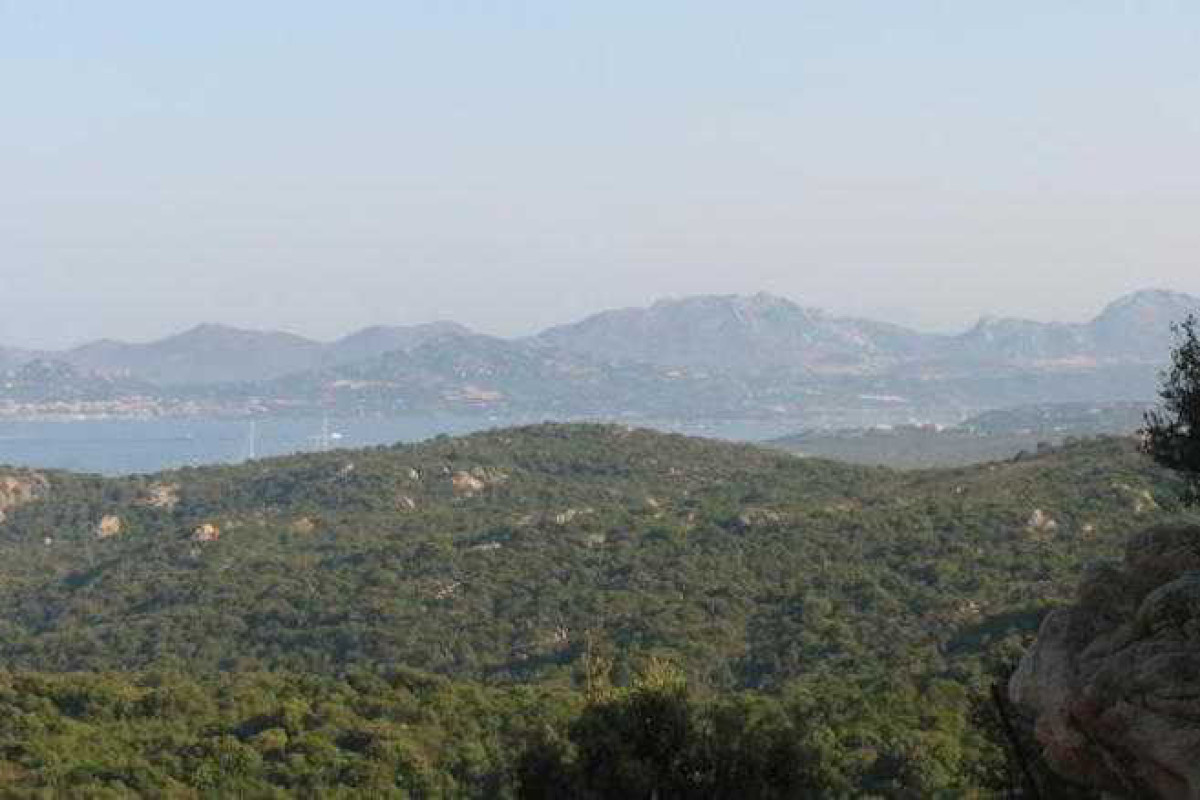 PARCO DEGLI ULIVI