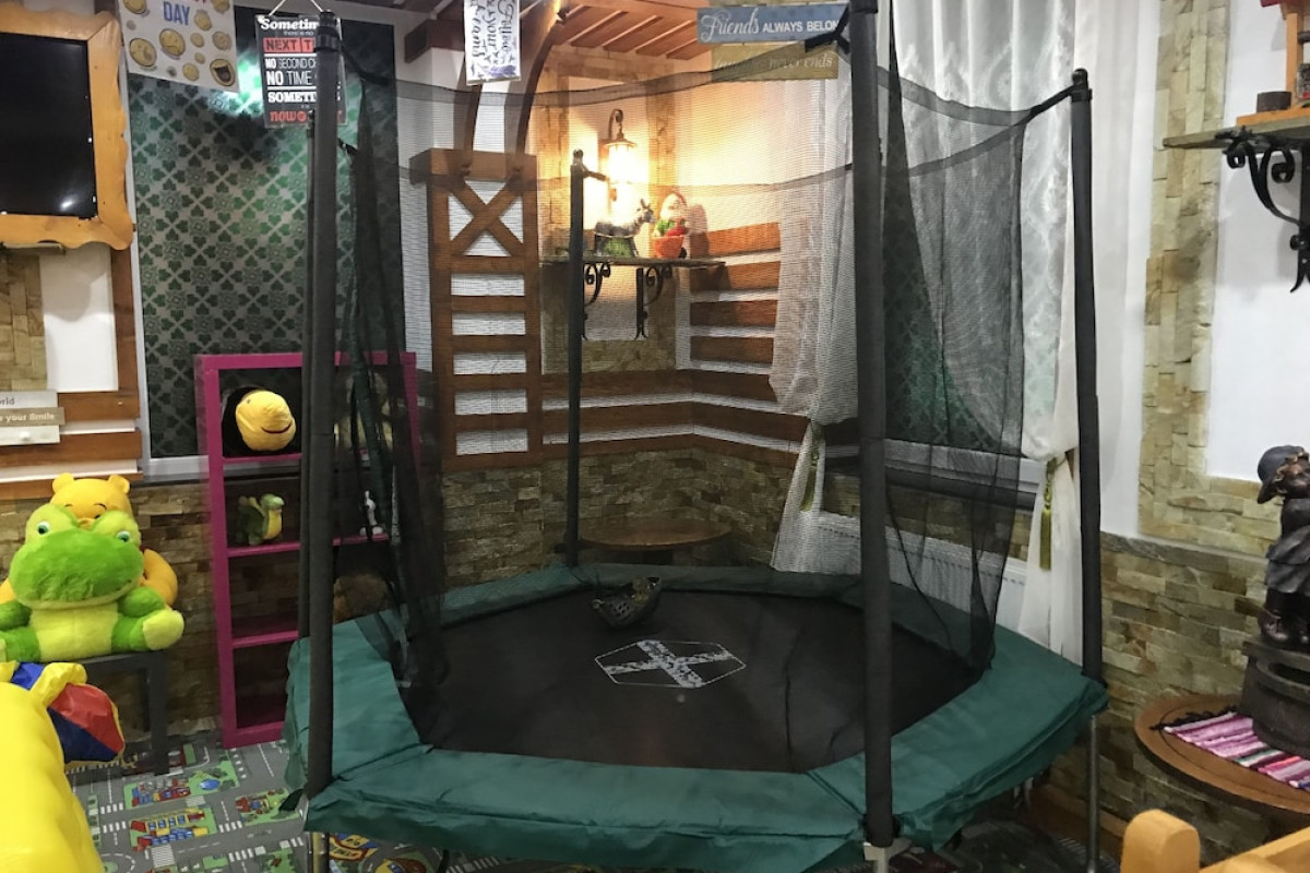 CABANA SURA GETILOR ARINIS
