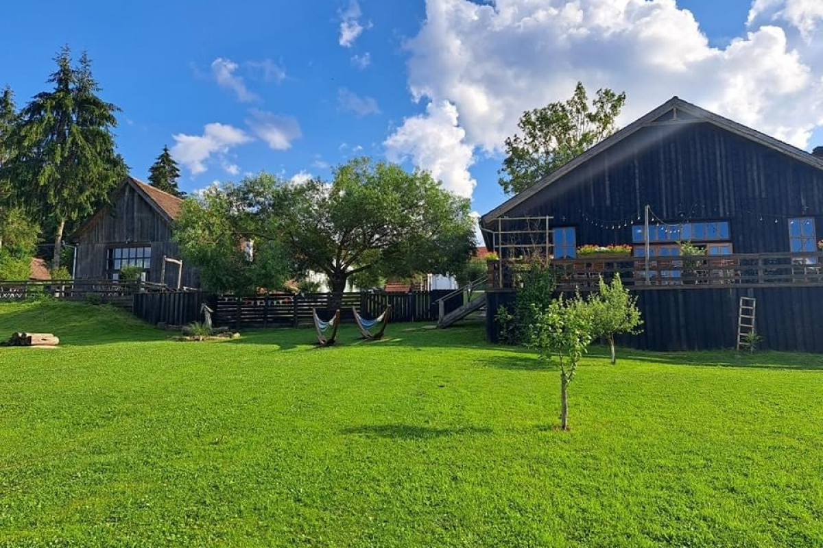 VESEUD 11