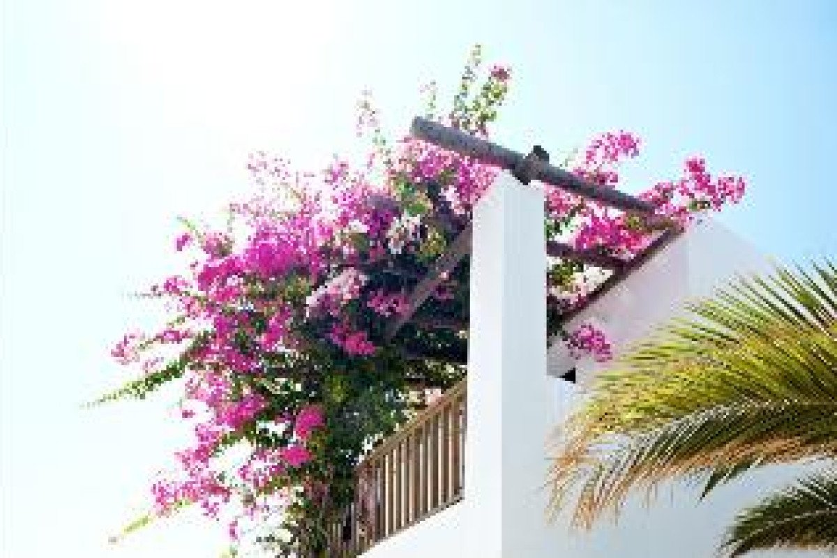 GÜMBET COVE HOTEL