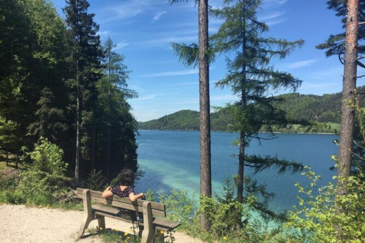 Pension Seeblick