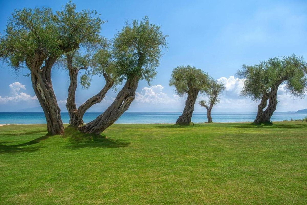 Domes Miramare A Luxury Collection Resort Corfu