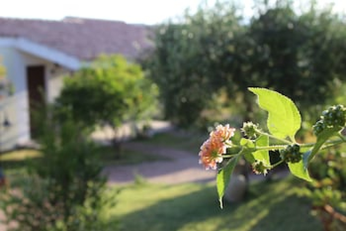 HOTEL CALA MIRTO