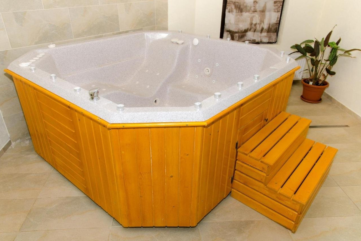 Pensiunea Poiana Viselor 4*