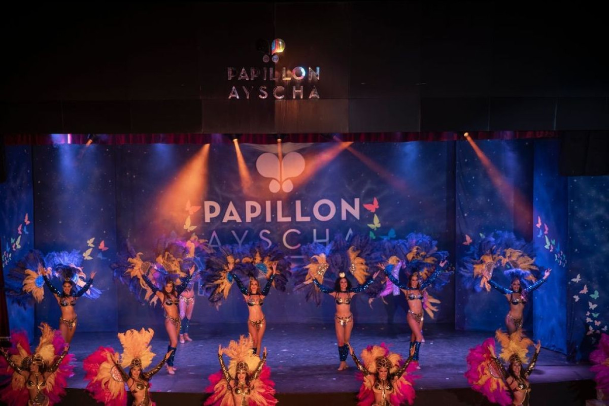 Papillon Ayscha