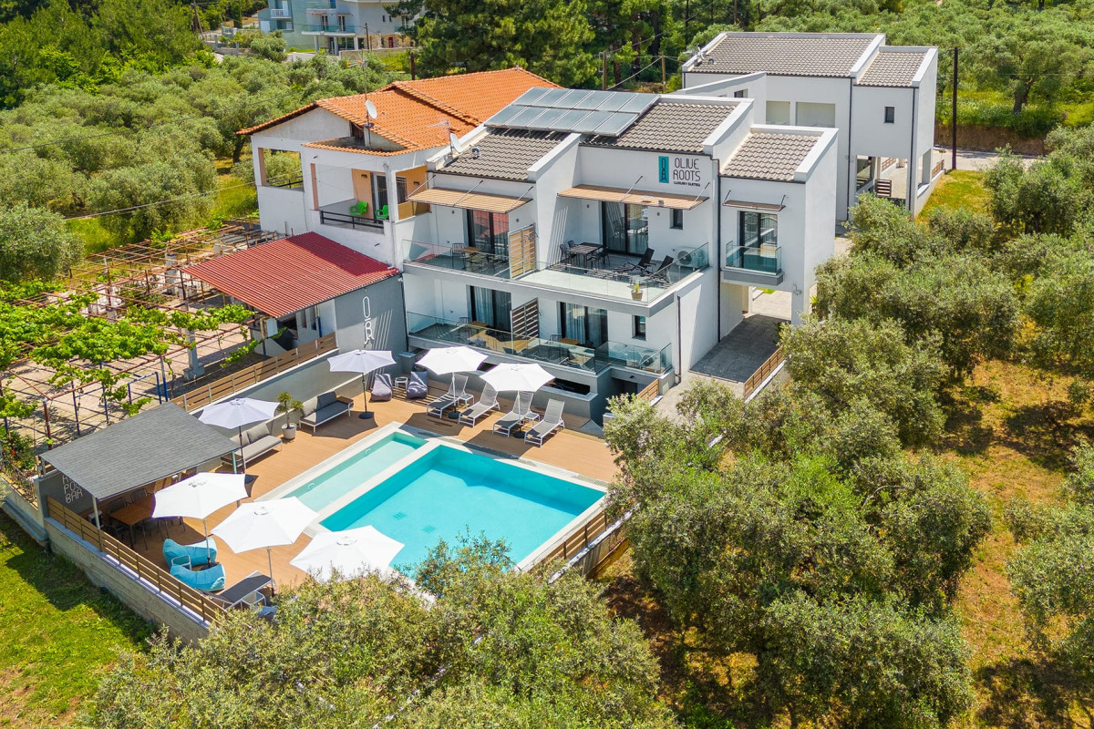 Olive Roots Thassos