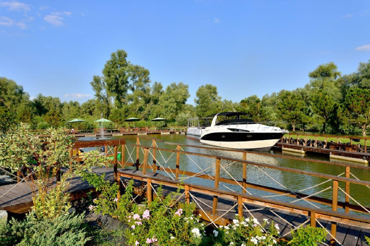 HOTEL NEW EGRETA