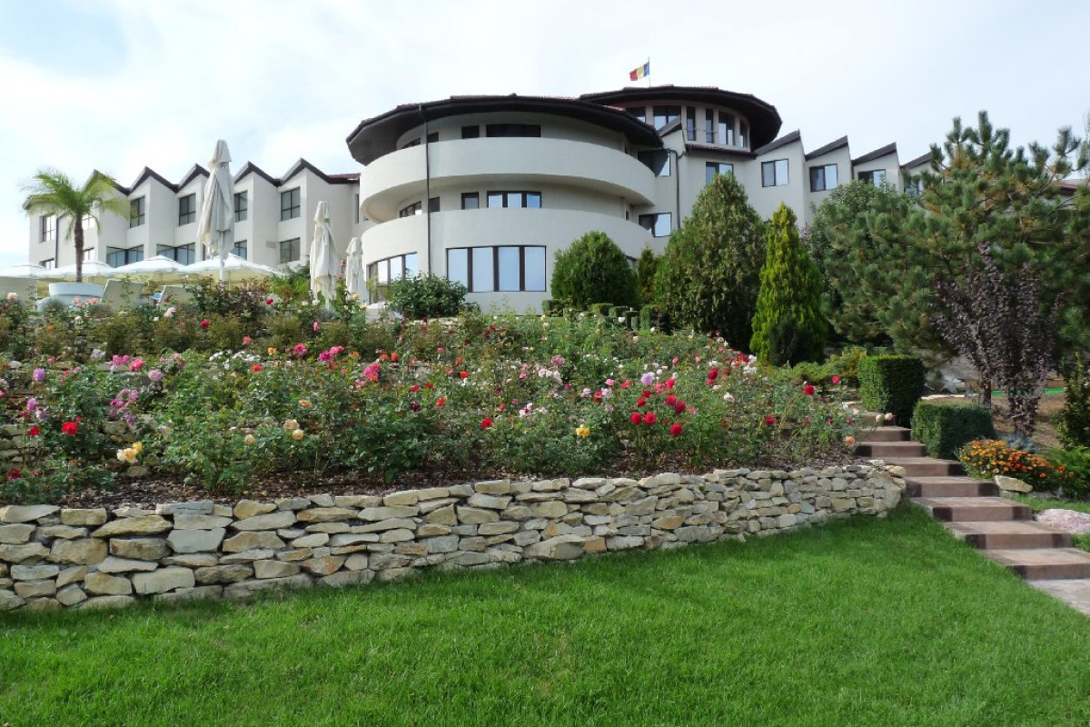HOTEL NEW EGRETA