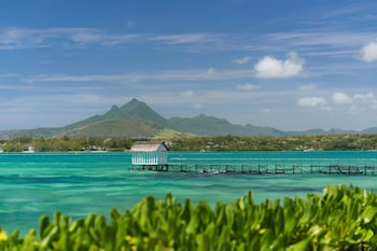 TROPICAL ATTITUDE HOTEL