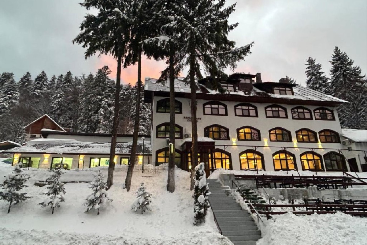 CERBUL CHALET.