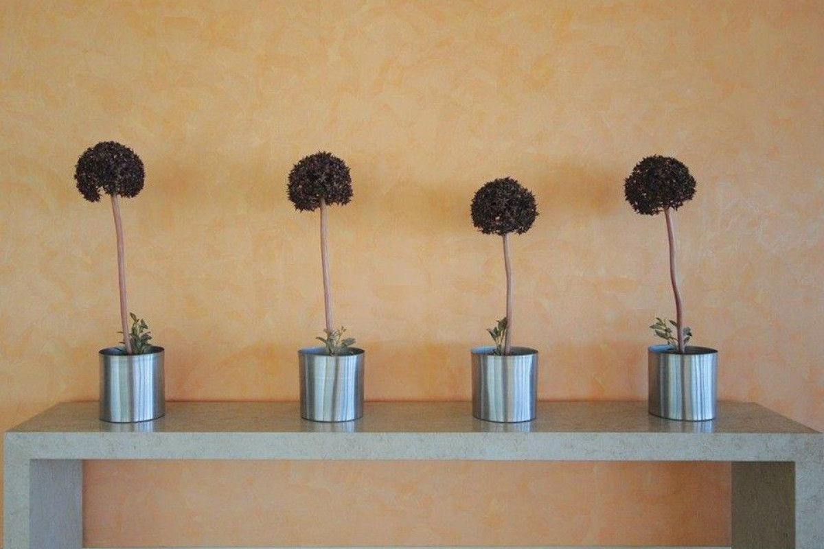 Paliria Hotel