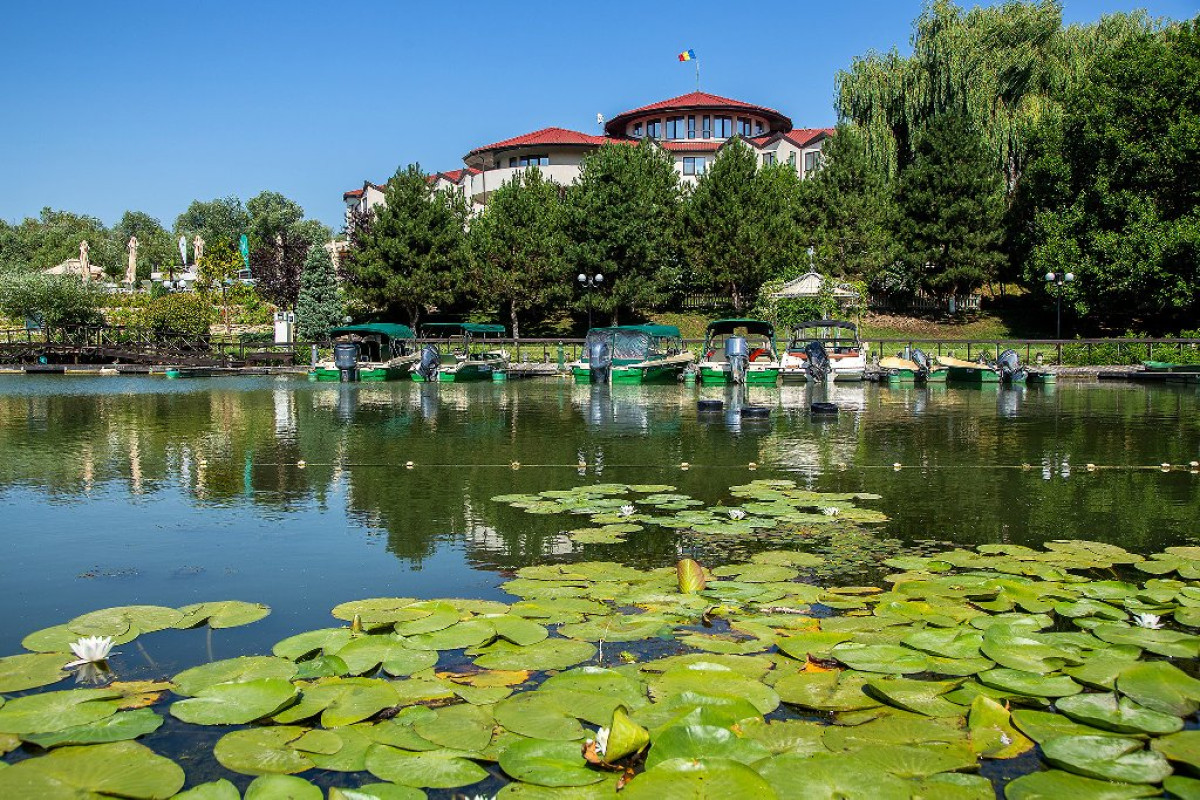 HOTEL NEW EGRETA