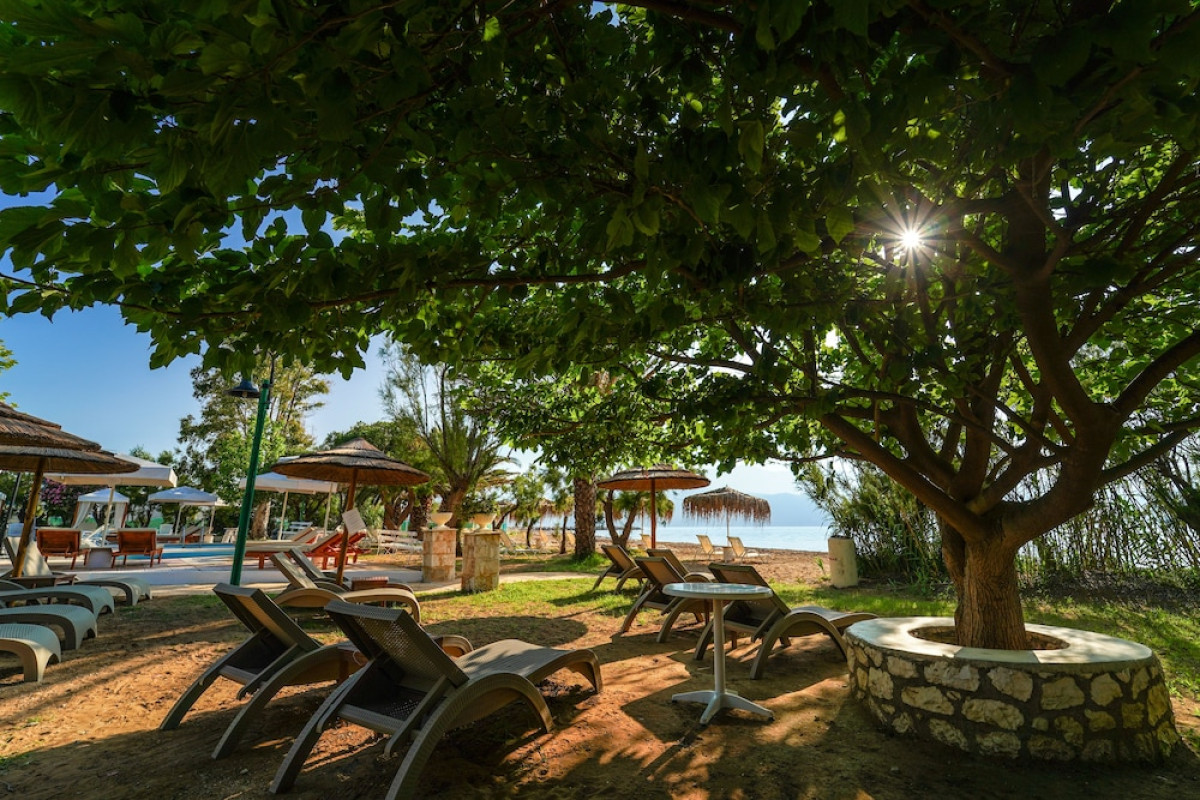 SUMMERY HOTEL