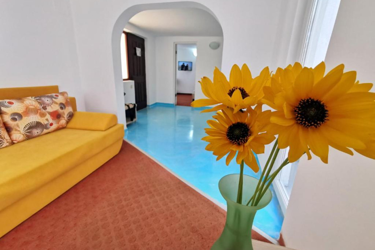 Apartamente Liliacul