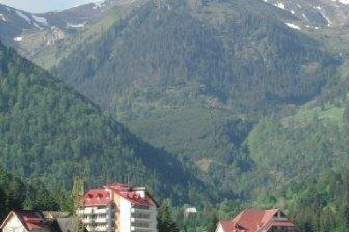 . Cerbul Hotel