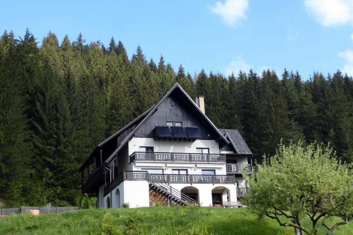 Pensiunea BUCOVINA LODGE