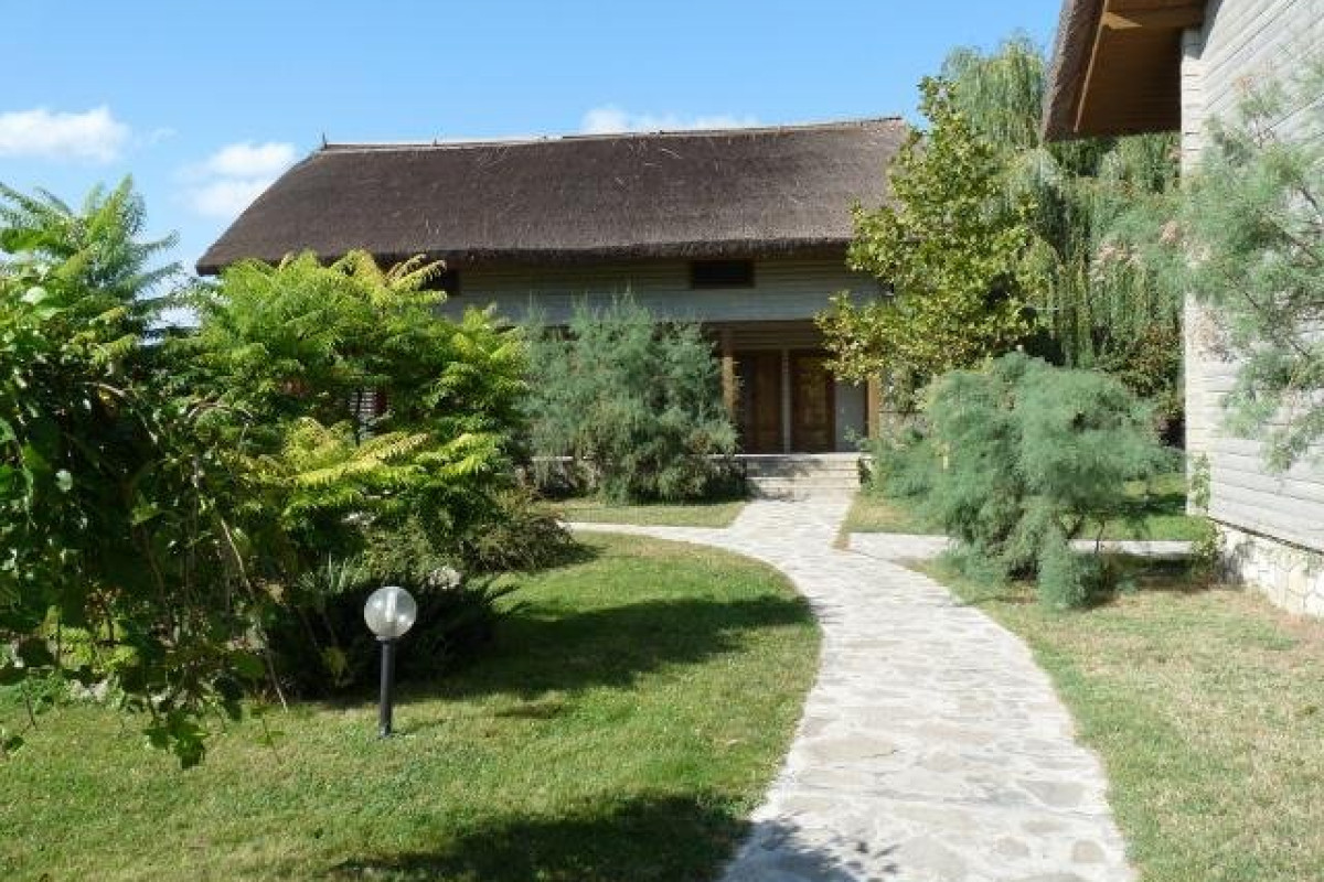 COMPLEX GREEN VILLAGE