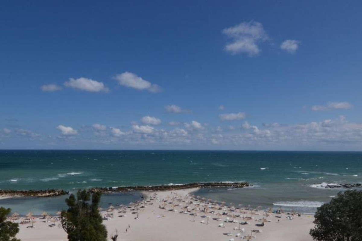 Apartamente Liliacul
