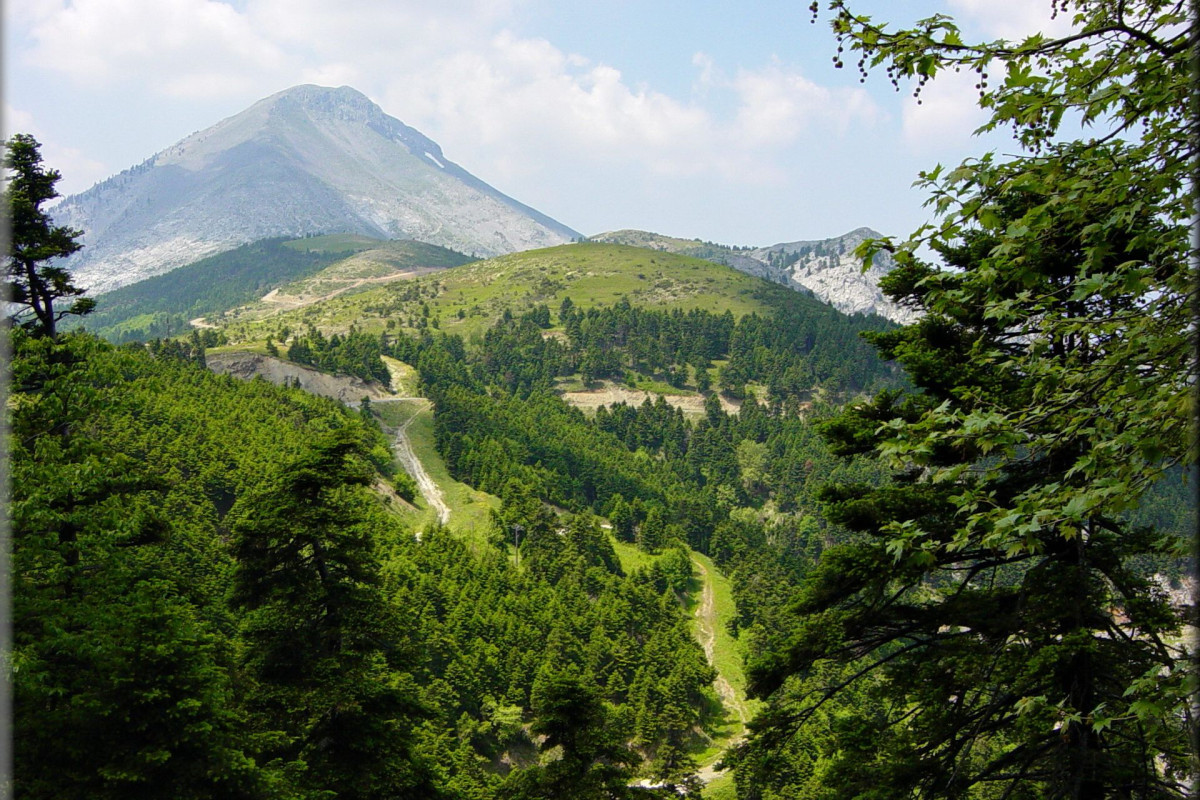 Steni Hotel Evia