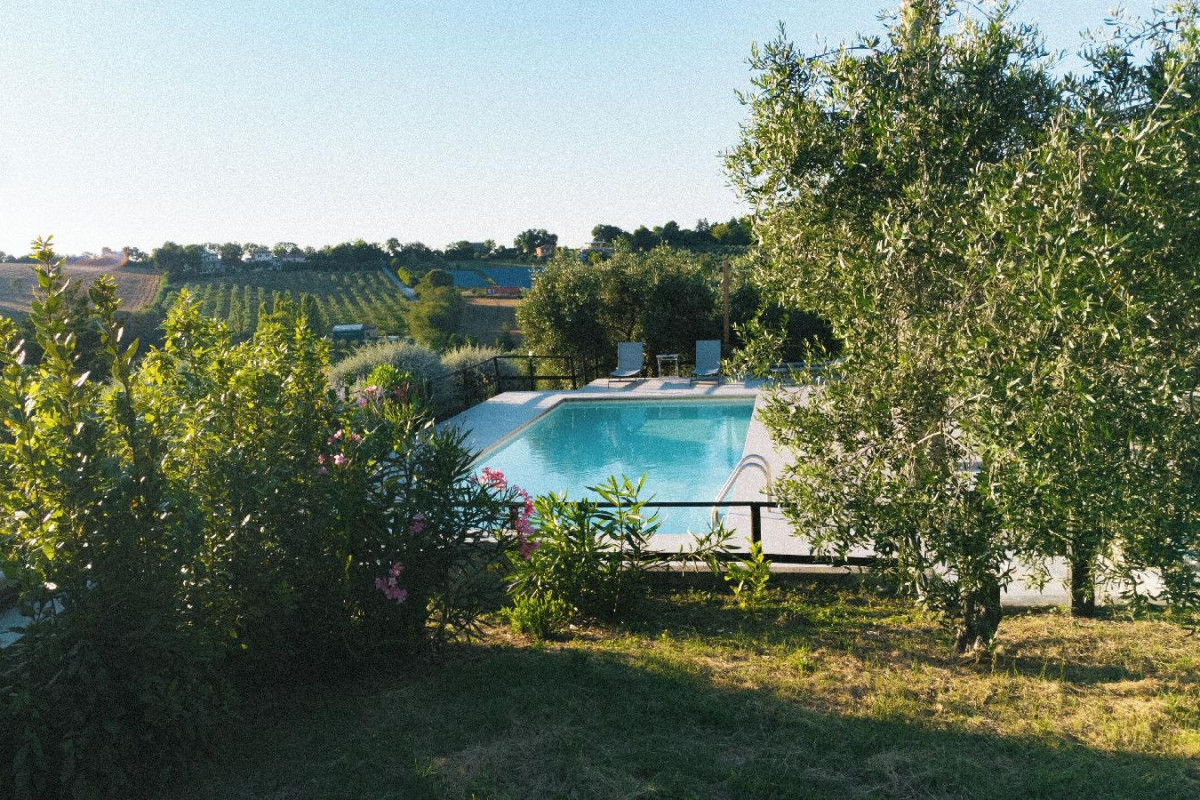 A3passi Agriturismo Tra Gli Ulivi
