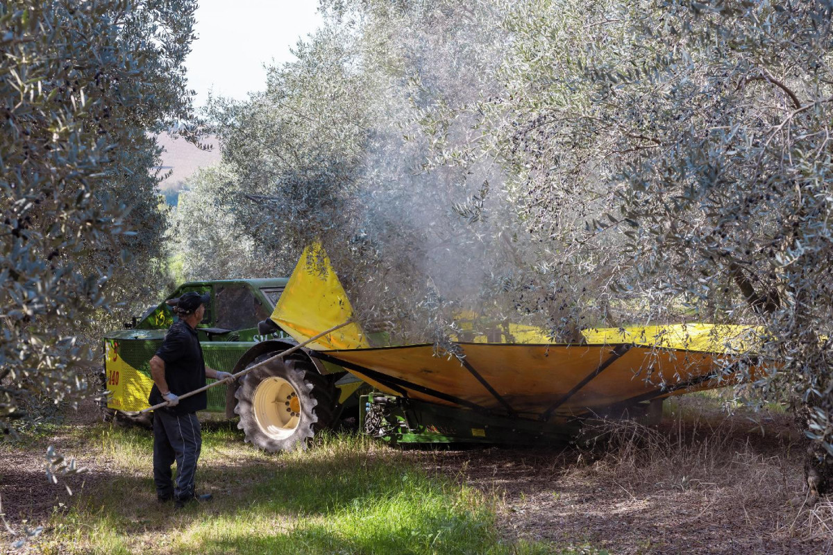 A3passi Agriturismo Tra Gli Ulivi