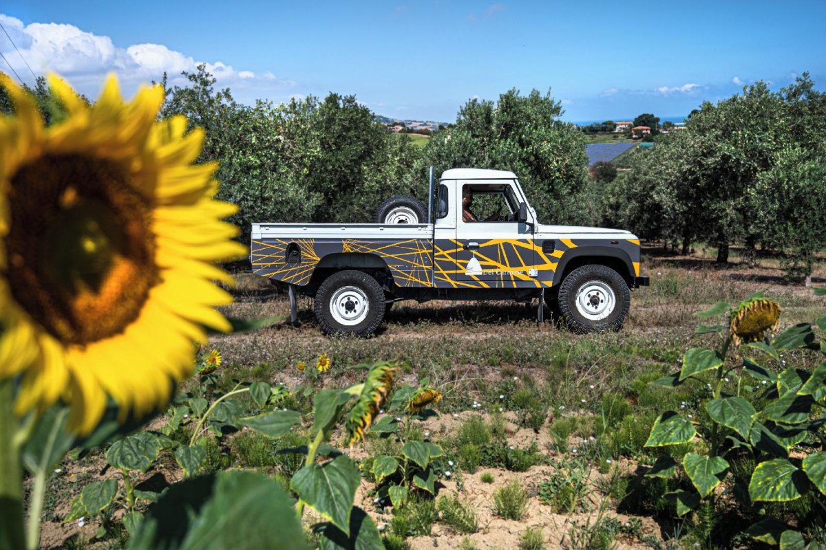 A3passi Agriturismo Tra Gli Ulivi