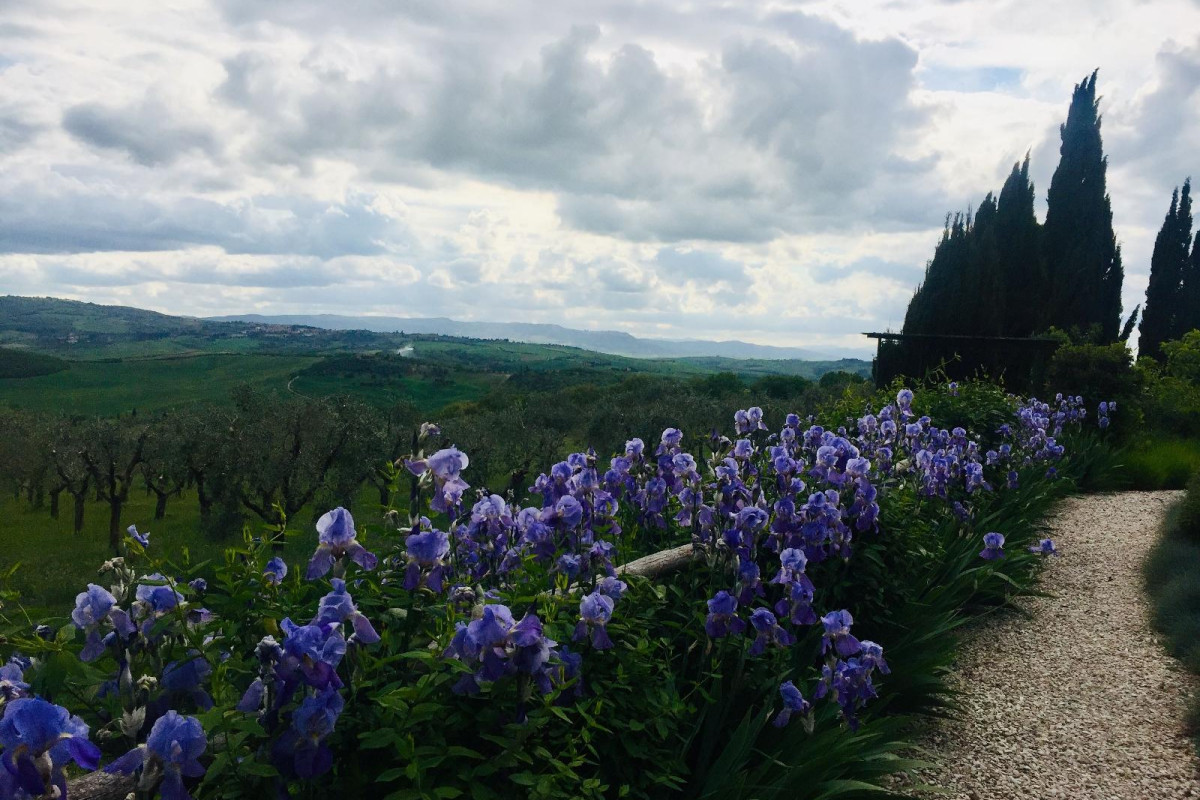A440 In Tuscany