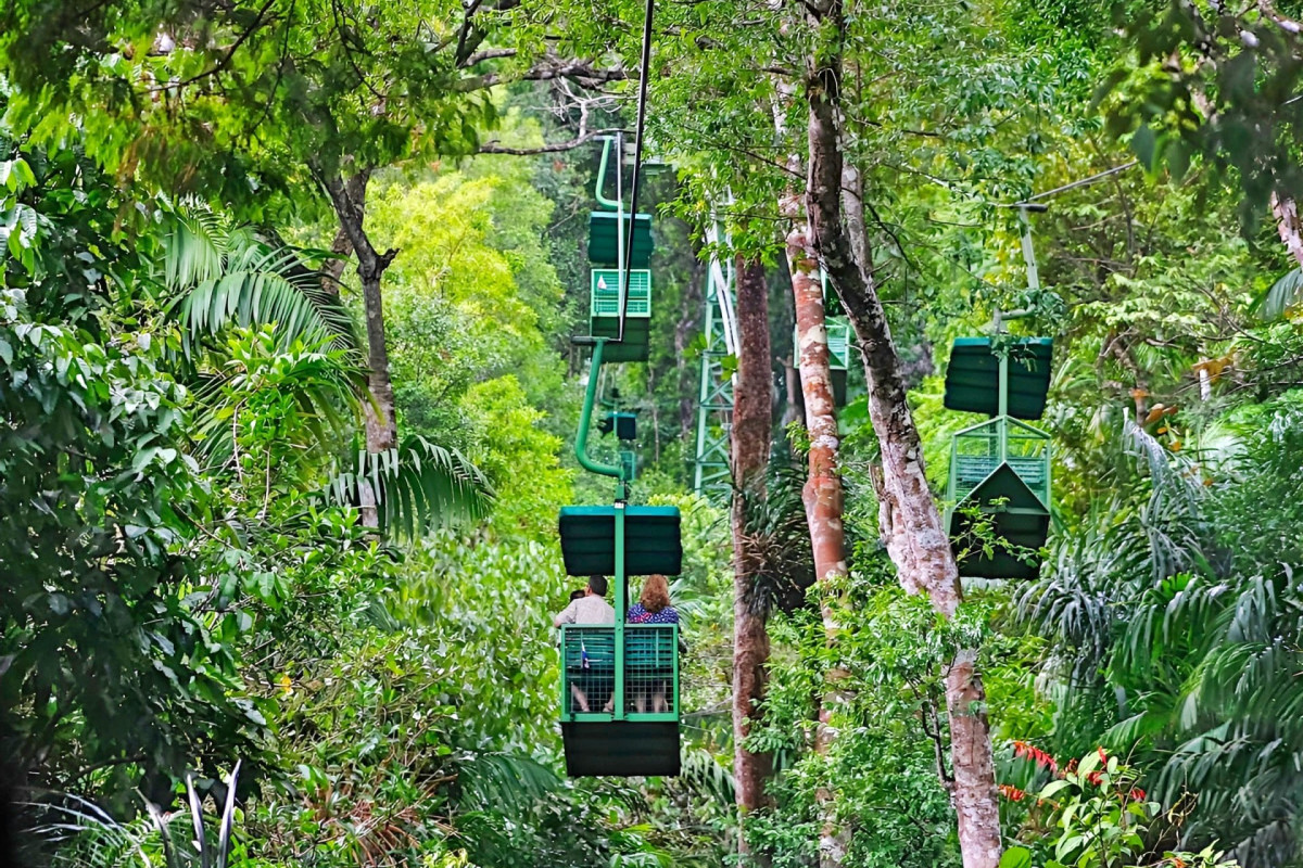 Gamboa Rainforest Reserve