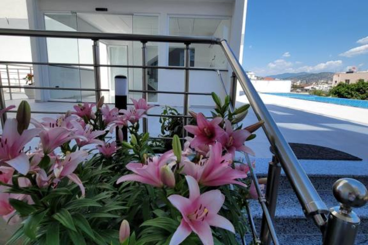 Hotel Admiro