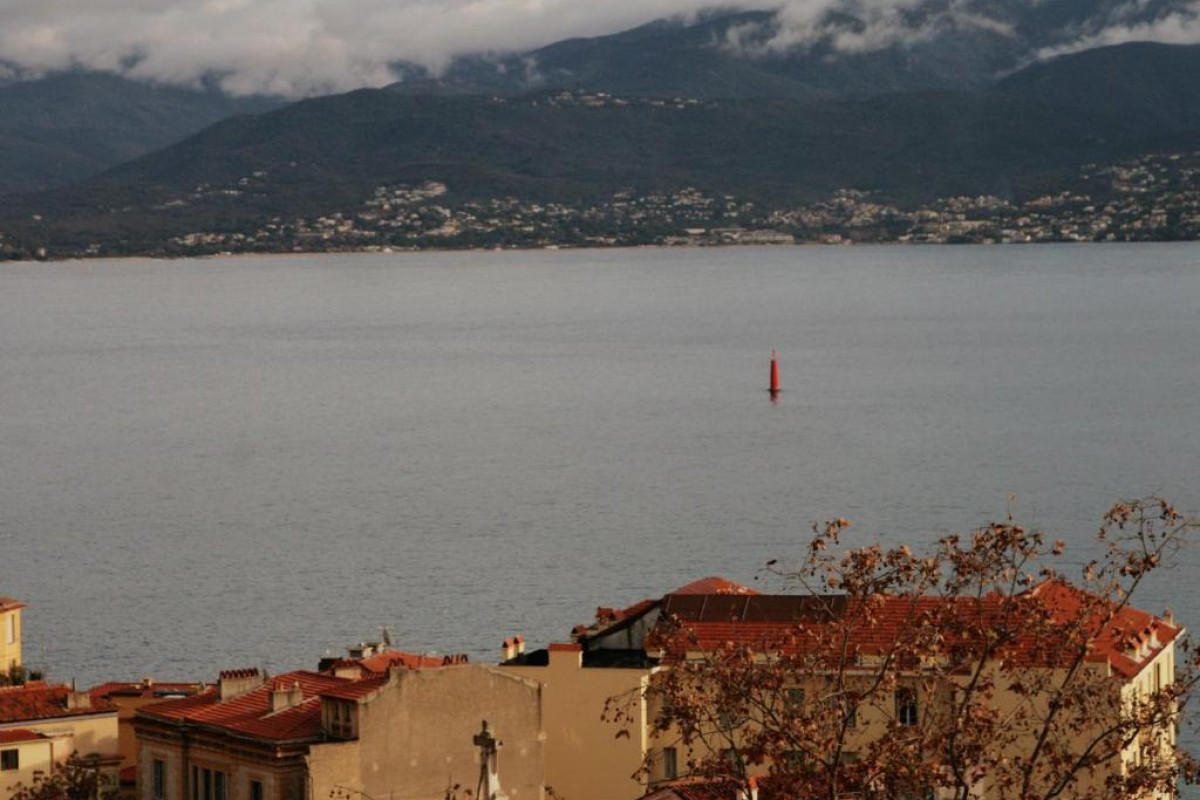 Adonis Ajaccio Hotel Albion